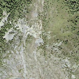 Satellite imagery of Obers Gibidum, CH