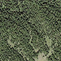 Satellite imagery of Goldbiel, CH