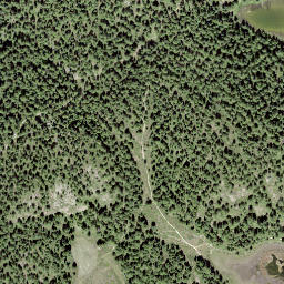Satellite imagery of Stand, CH