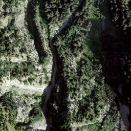 Satellite imagery of Giümelin, CH