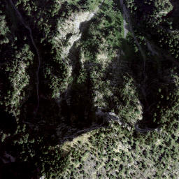 Satellite imagery of Giümelin, CH