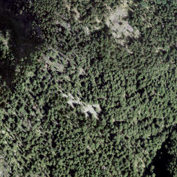 Satellite imagery of Giümelin, CH