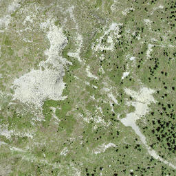 Satellite imagery of Rinderhorn, CH