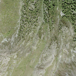 Satellite imagery of Obers Gibidum, CH