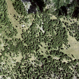 Satellite imagery of Giümelin, CH