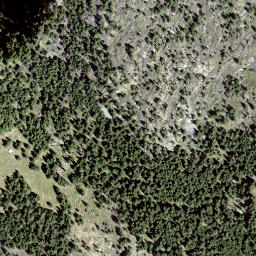 Satellite imagery of Giümelin, CH