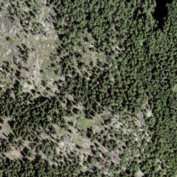 Satellite imagery of Giümelin, CH