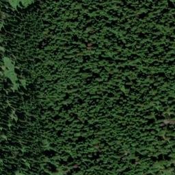 Satellite imagery of Doe Point, US