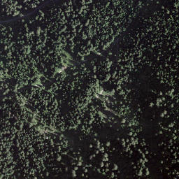 Satellite imagery of Pointe du Midi, CH