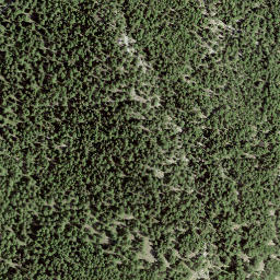Satellite imagery of Stand, CH