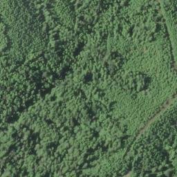 Satellite imagery of Point Ellice, US