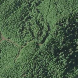 Satellite imagery of Point Ellice, US
