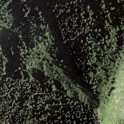 Satellite imagery of Pointe du Midi, CH