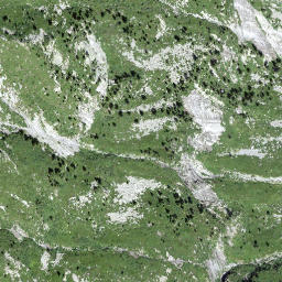 Satellite imagery of Pizzo d'Orgnana, CH