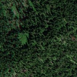 Satellite imagery of Shasta Point, US