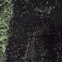 Satellite imagery of La Rijasse, CH