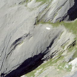 Satellite imagery of Petit Renard, CH