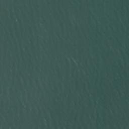 Satellite imagery of Point Ellice, US