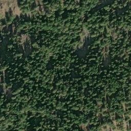 Satellite imagery of Pinegrass Ridge, US