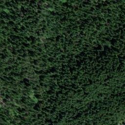 Satellite imagery of Shasta Point, US