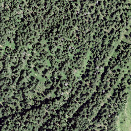 Satellite imagery of Torrion, CH