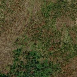 Satellite imagery of Bell Point, US