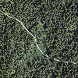 Satellite imagery of Crêt du Midi, CH