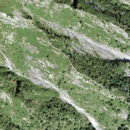 Satellite imagery of Orgnana, Bocchetta d', CH