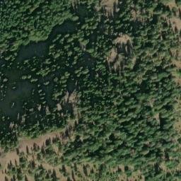 Satellite imagery of Pinegrass Ridge, US