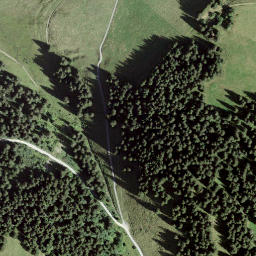 Satellite imagery of La Foilleuse, CH