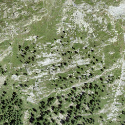 Satellite imagery of Giblatt, CH