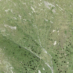 Satellite imagery of Gaggio, CH