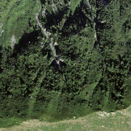 Satellite imagery of Madone, CH