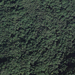 Satellite imagery of Grop di Quaggio, CH