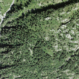 Satellite imagery of Sasso Torasco, CH
