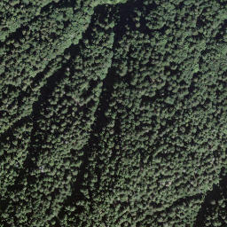 Satellite imagery of Cima della Pianca, CH