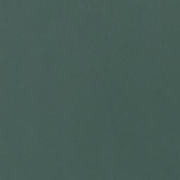 Satellite imagery of Tongue Point, US