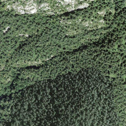Satellite imagery of Sasso Torasco, CH