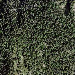 Satellite imagery of Chleini Furgge, CH