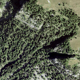 Satellite imagery of Castell, CH