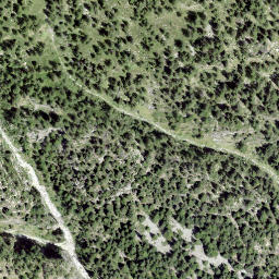 Satellite imagery of Castell, CH