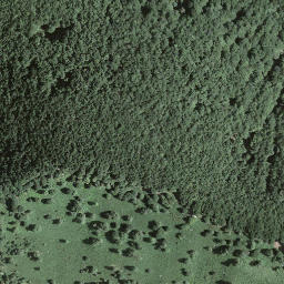Satellite imagery of Bassa di Bietri, CH