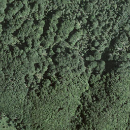 Satellite imagery of Mottone, CH