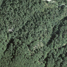 Satellite imagery of Mottone, CH