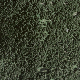 Satellite imagery of Cima della Pianca, CH
