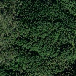 Satellite imagery of Jungle Point, US