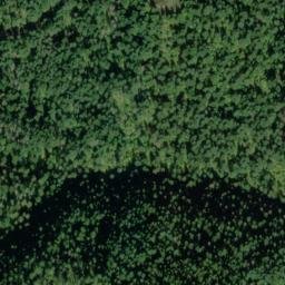 Satellite imagery of Jungle Point, US