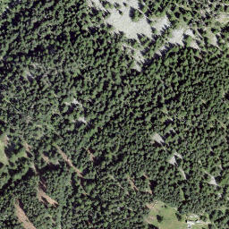 Satellite imagery of Castell, CH