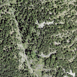 Satellite imagery of Castell, CH