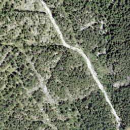 Satellite imagery of Castell, CH